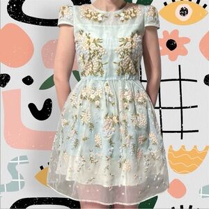 Chicwish | Floral Embroidered Light Blue Tulle Mini Dress with Cap Sleeves